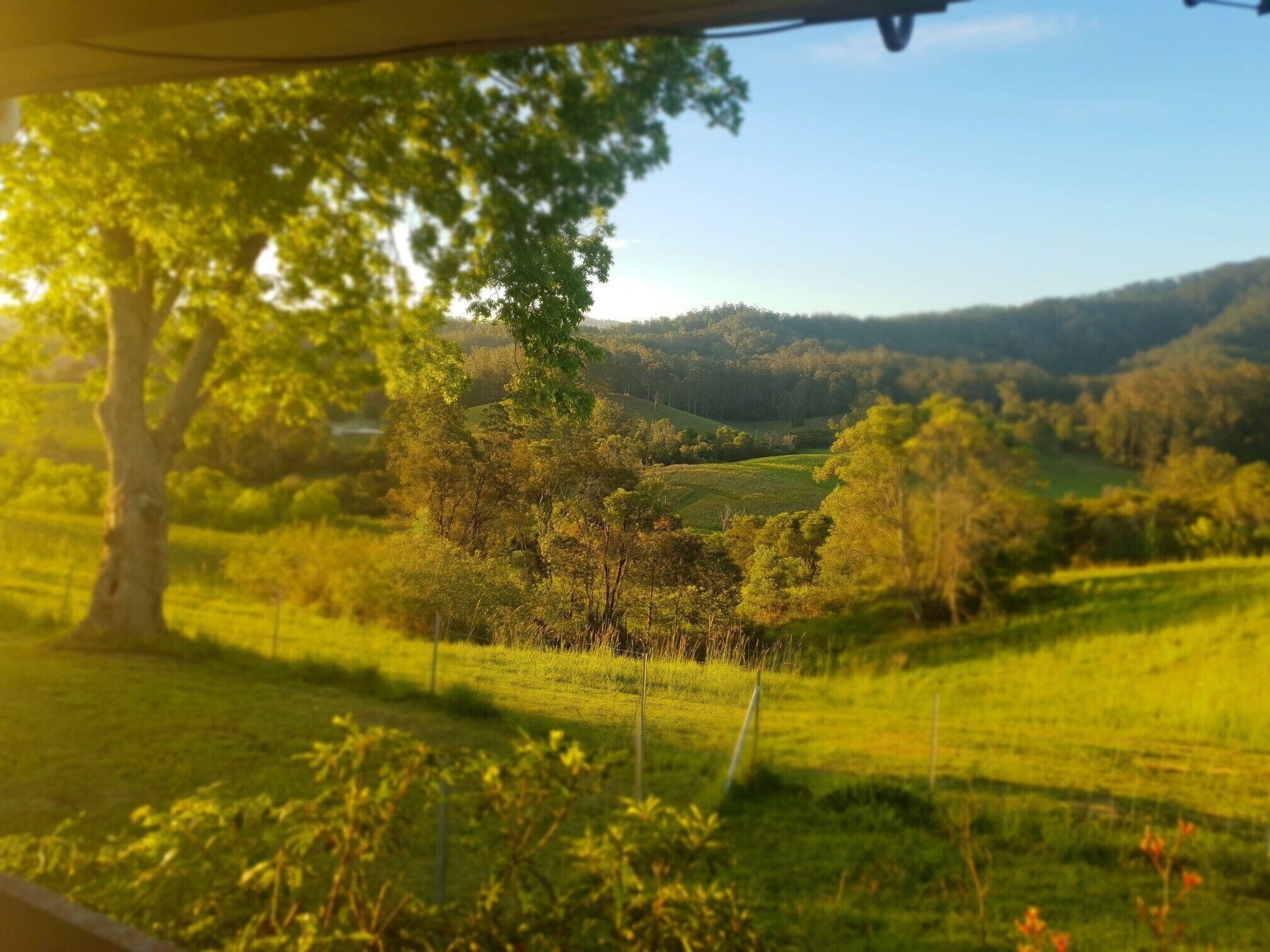 Bellbowra Farmstay - Pet Friendly - Nambucca Valley