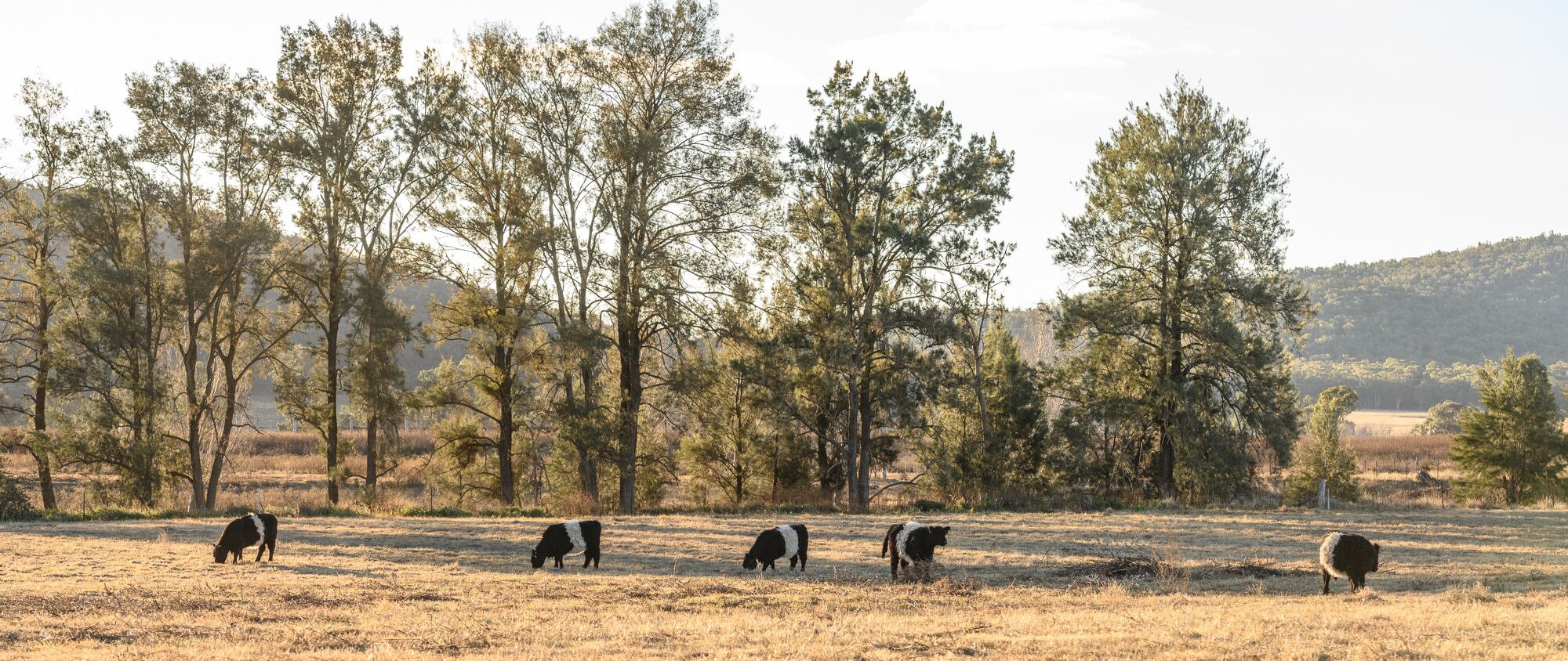 Abercorn - House and Farm Mudgee