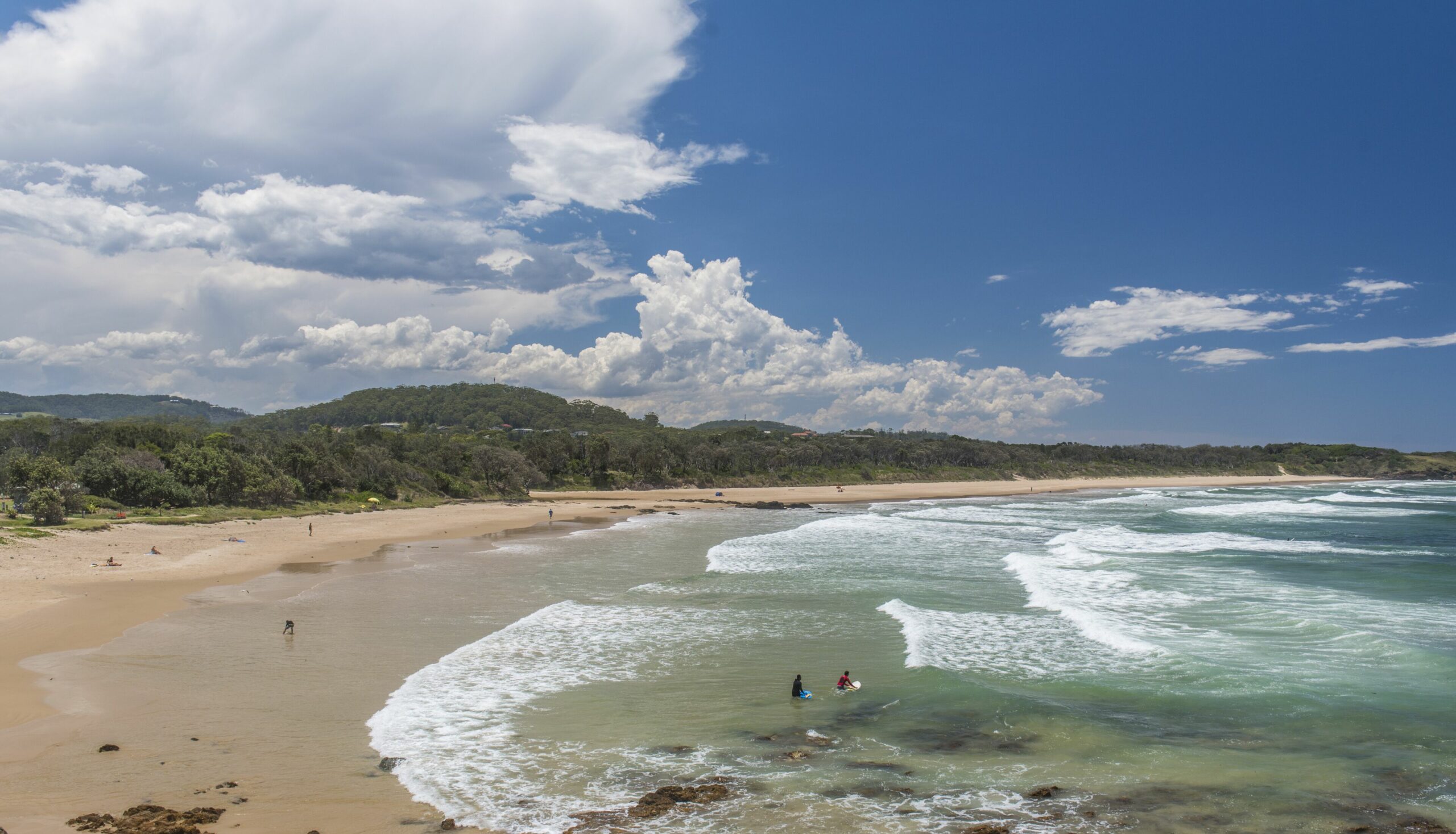 Beautiful Pet Friendly Beach House - Pandanus on Emerald