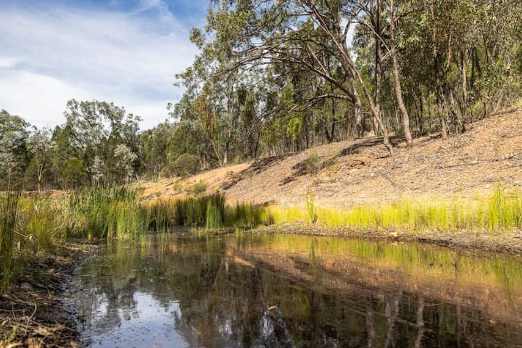 Frog Hill House - Your Innkeeper Mudgee