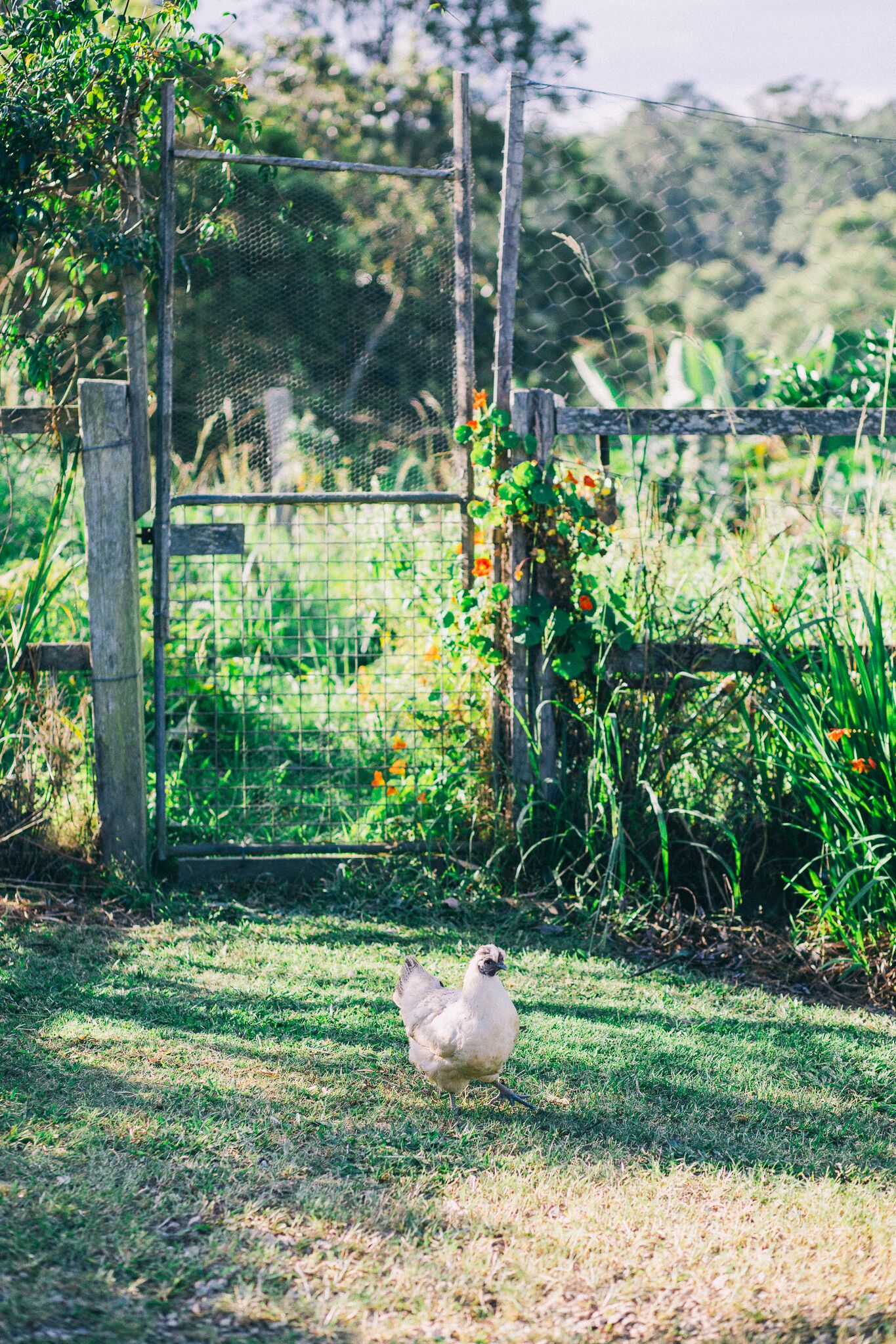 Bellingen Vintage Farm Stay: WeilHouse Living