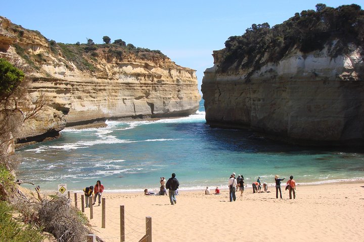 Premium Great Ocean Road Day Tour: Surf Coast route 12 Apostles, Loch Ard Gorge