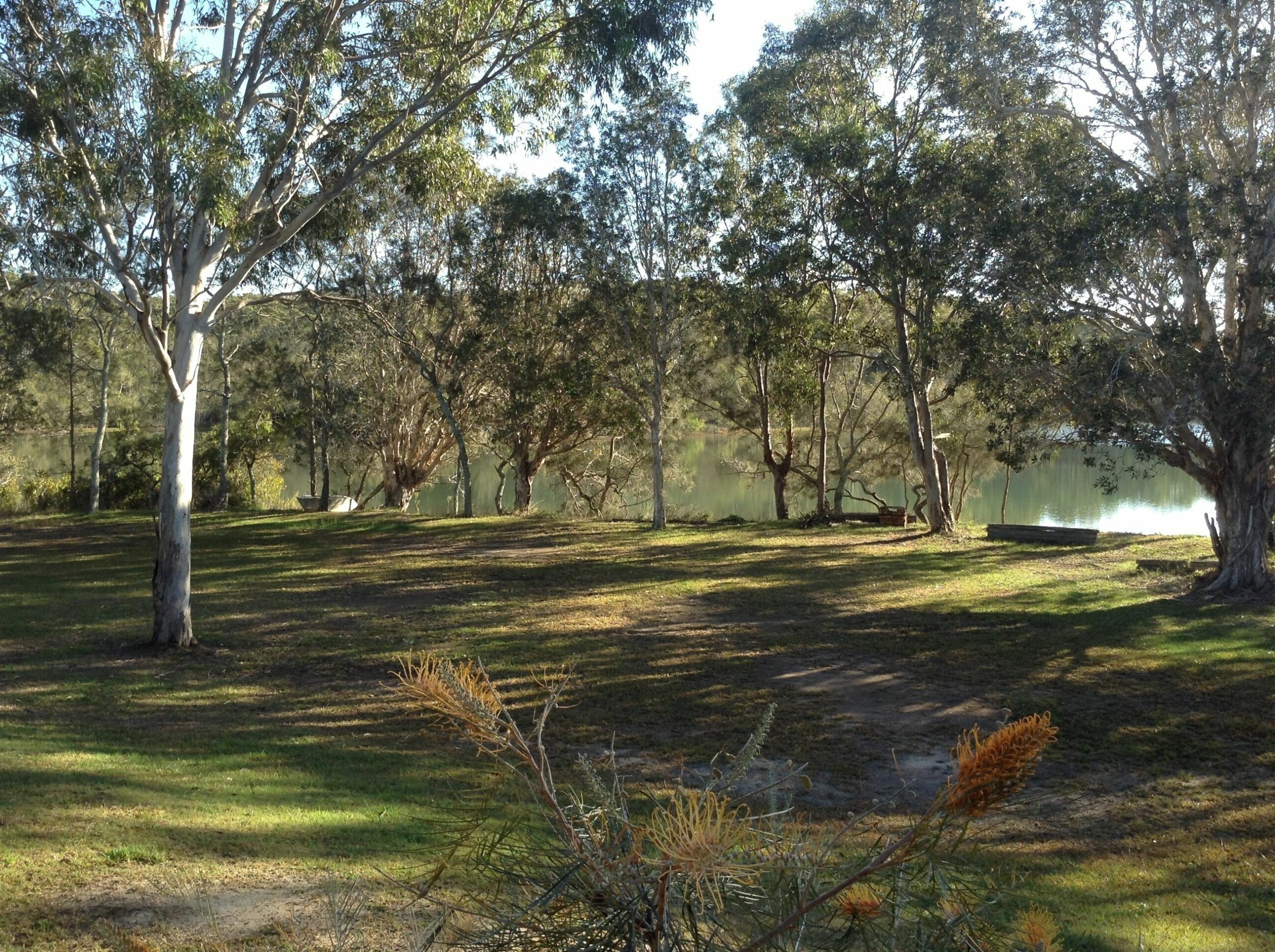 Melaleuca Lakeside by the beach at Woolgoolga - Paradise summer and winter