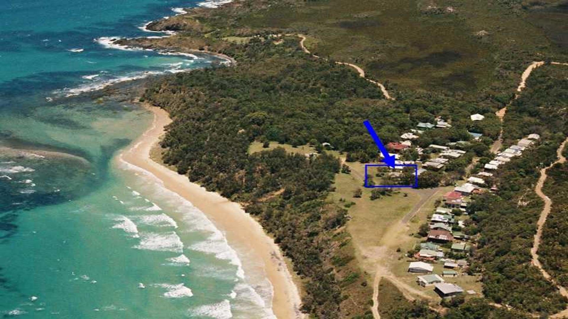 THE Blue Groper - Diggers Camp, NSW