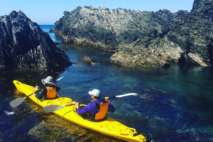 Half Day Sea Kayak Tour from Batemans Bay with Morning Tea and Snorkeling