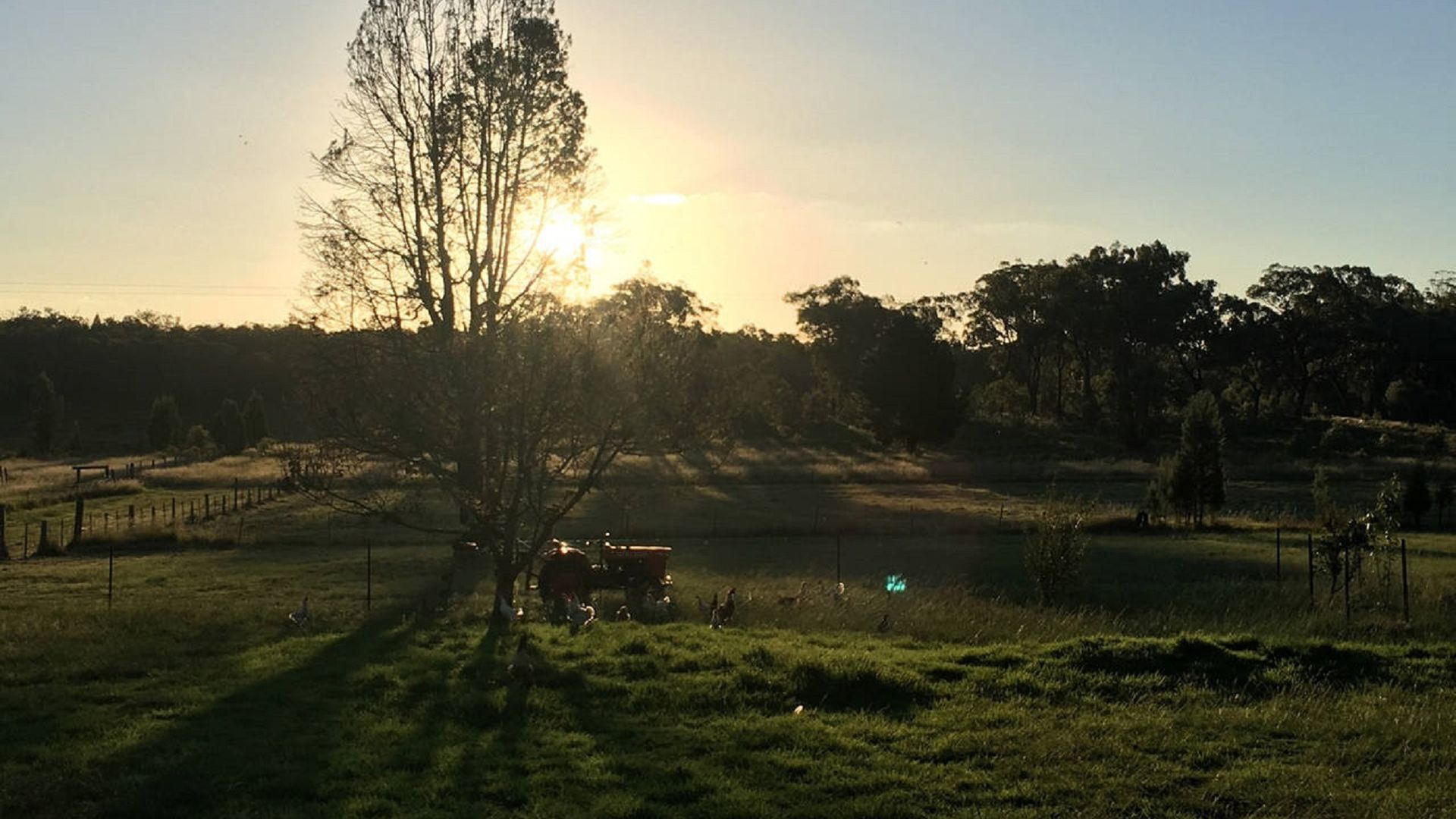 Coonandry Cottage Farmstay