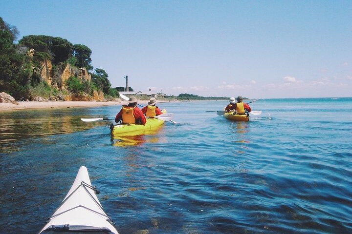 Mornington Peninsula Kayak Coastline Tour of Dolphin Sanctuary