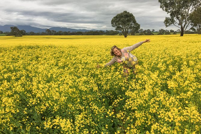 Grampians – Day Tour