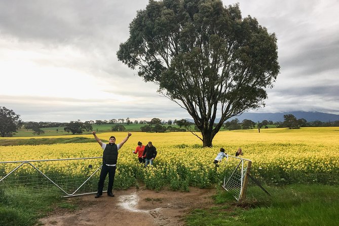 Grampians - Day Tour