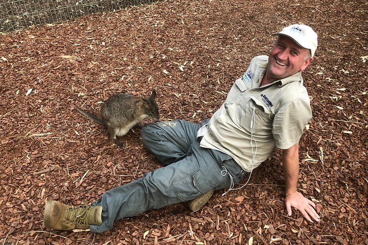 Chillagoe Caves and Outback Day Trip from Cairns