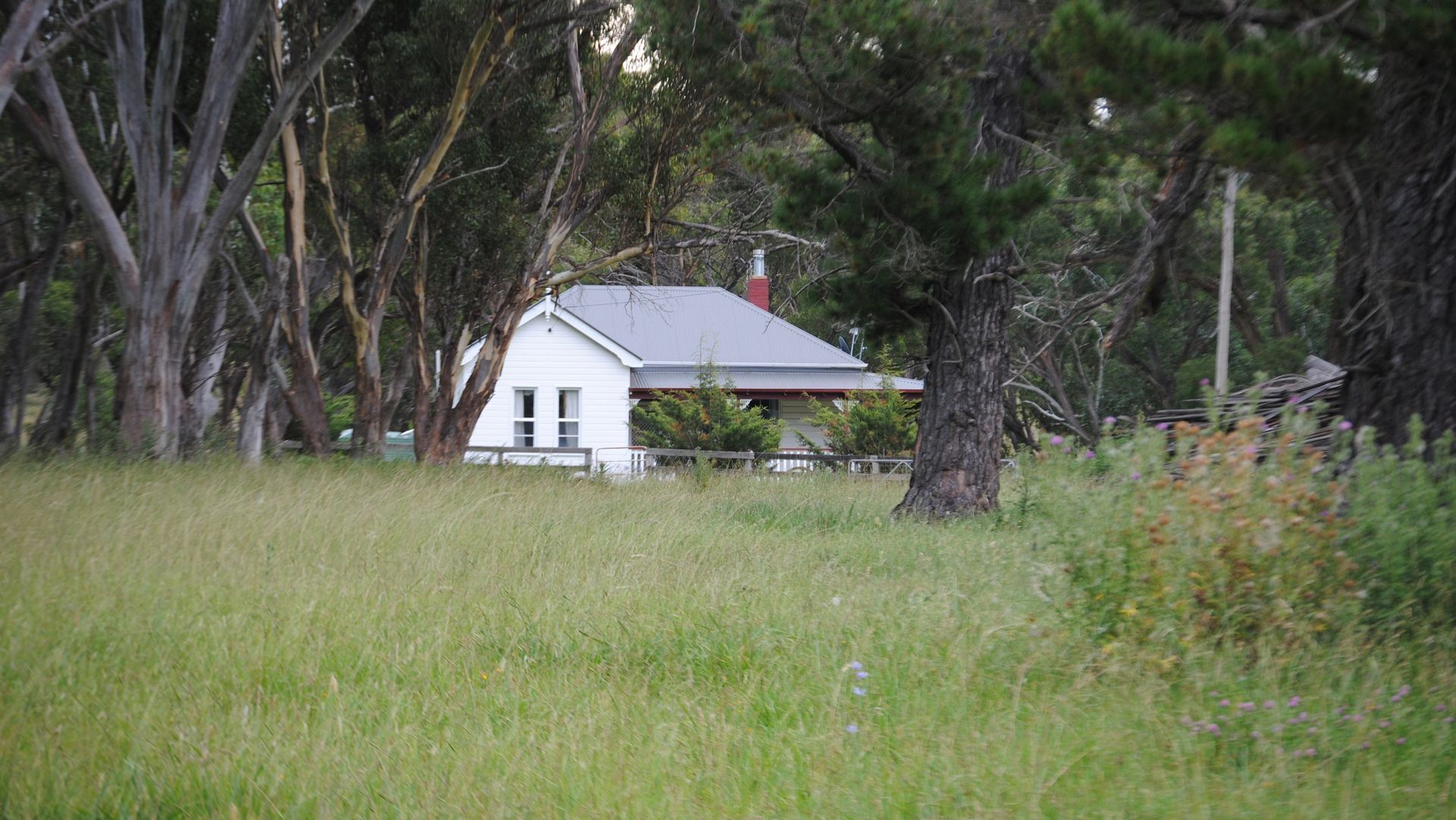 Waterloo Stockmans Cottage - Historic Rural Property