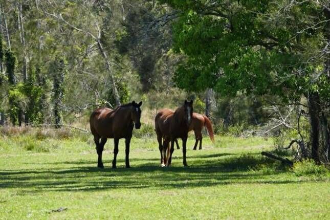 Pillar Rock Farm - 270acre farm, 15mins to beaches