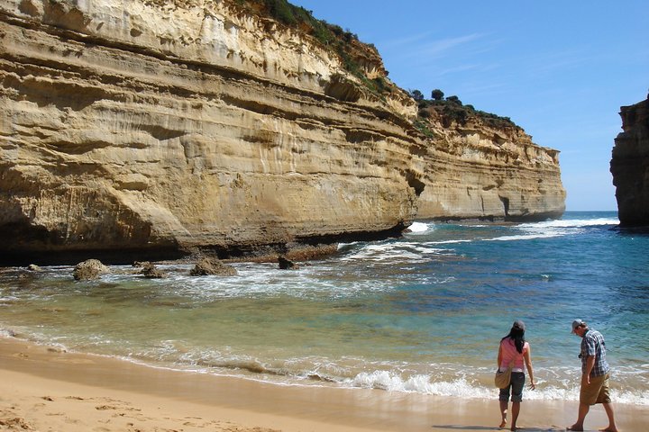 Premium Great Ocean Road Day Tour: Surf Coast route 12 Apostles, Loch Ard Gorge