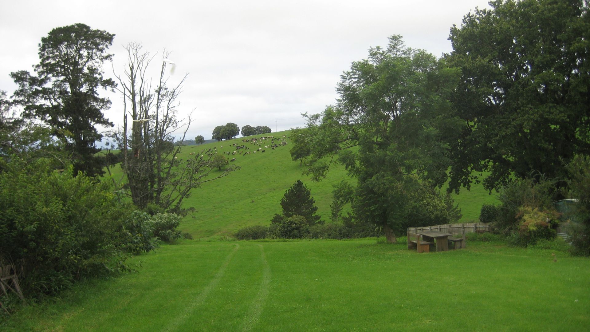 Kurrajong - Quiet Comfortable and Cosy