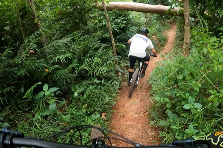 Mountain Bike Tour - Cairns