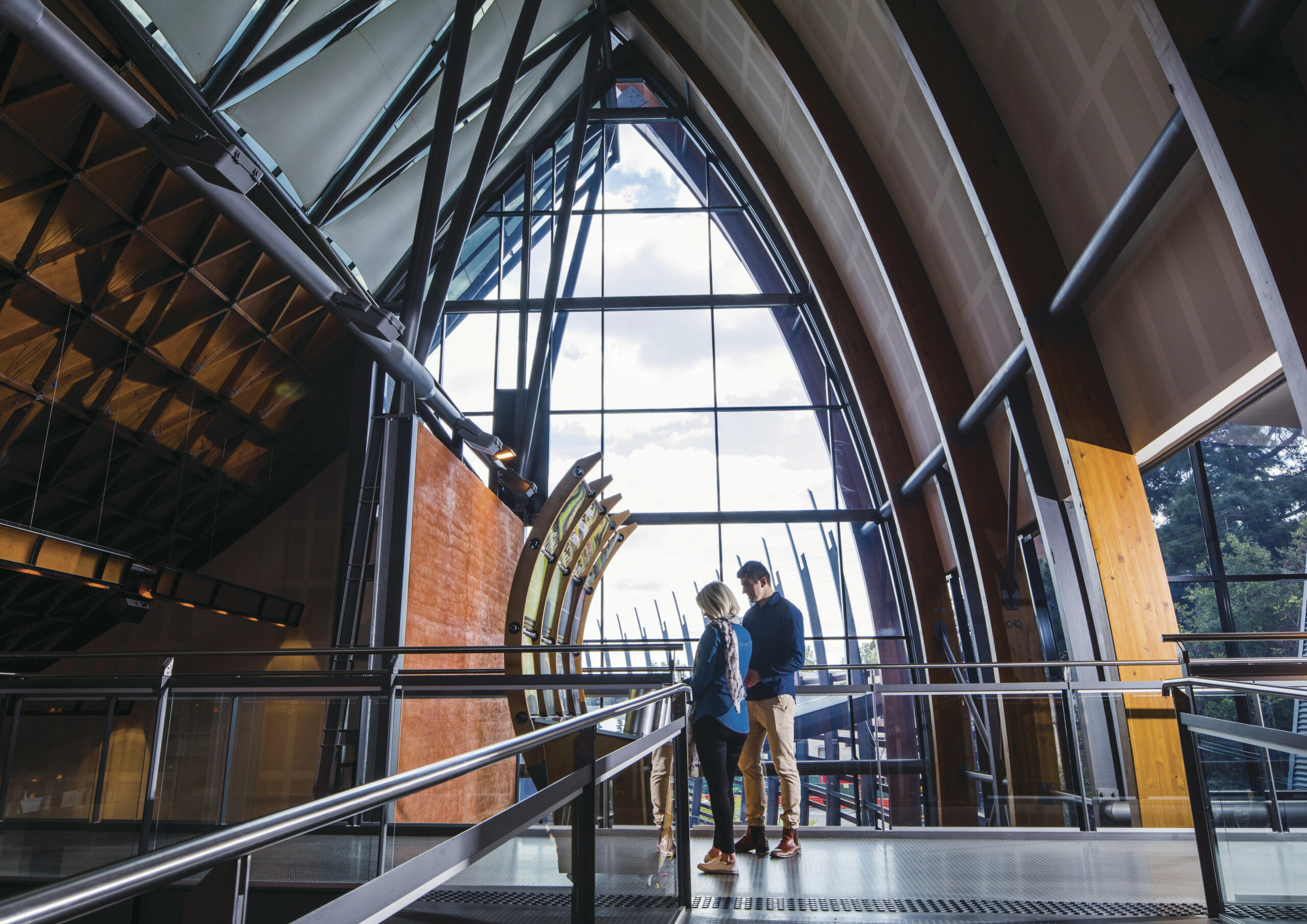 Meet, Greet and Adelaide City Sights