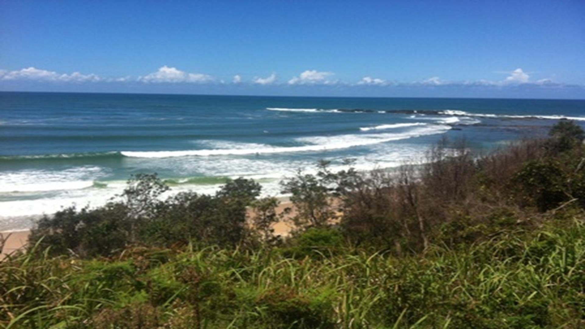 THE Blue Groper - Diggers Camp, NSW