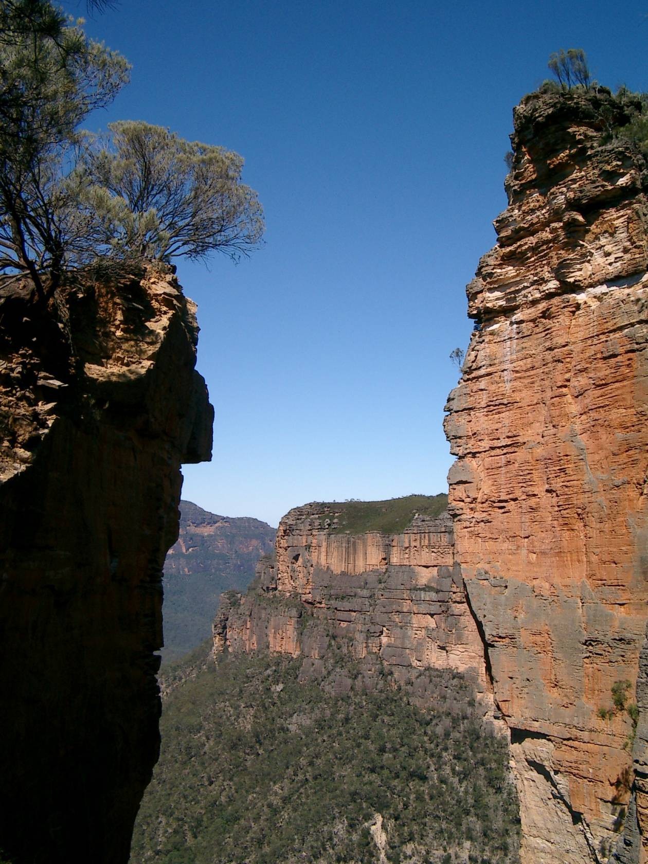 Blue Mountains Hike the World Heritage
