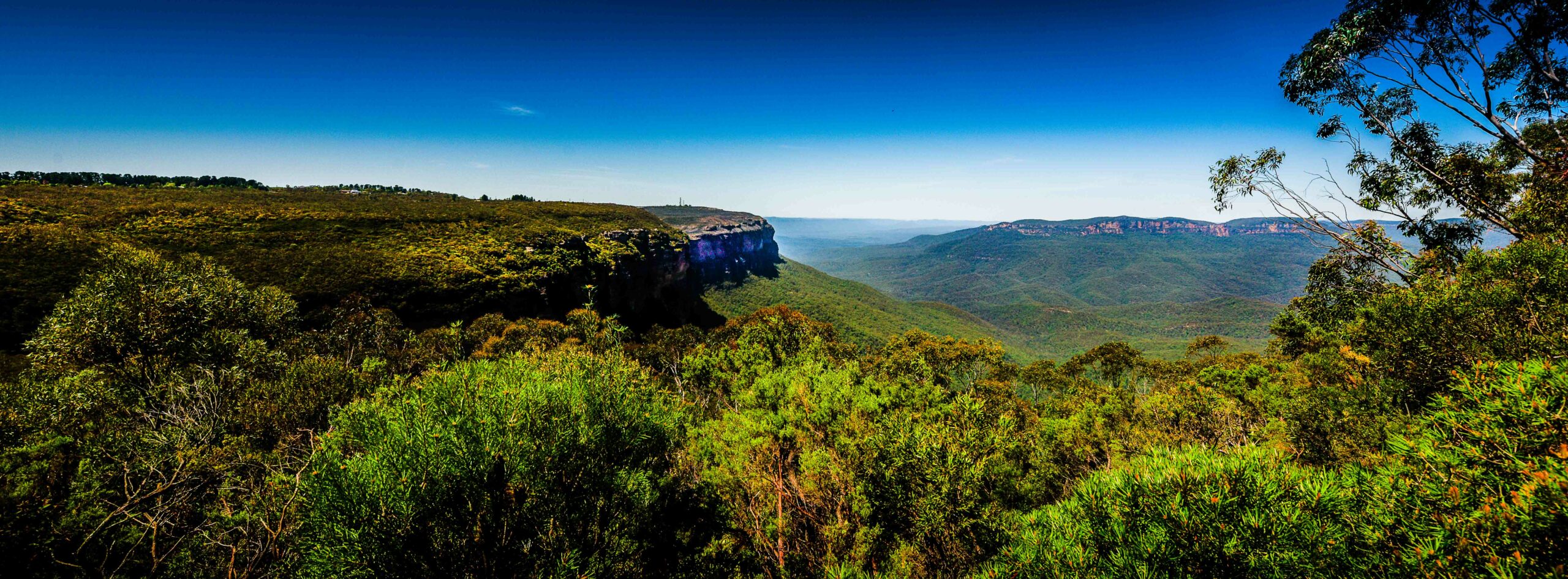Blue Mountains Hike the World Heritage