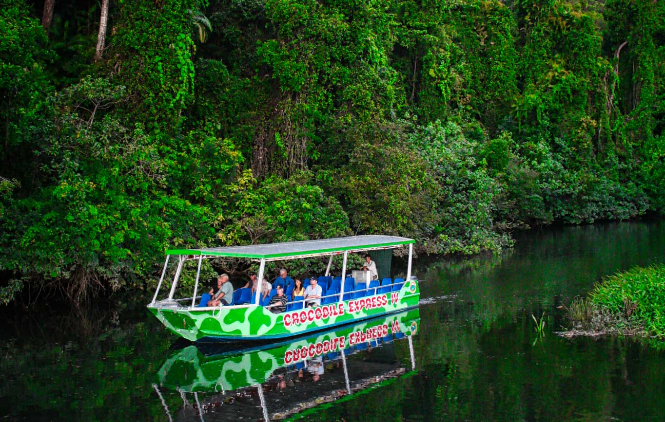 daintree rainforest croc tour