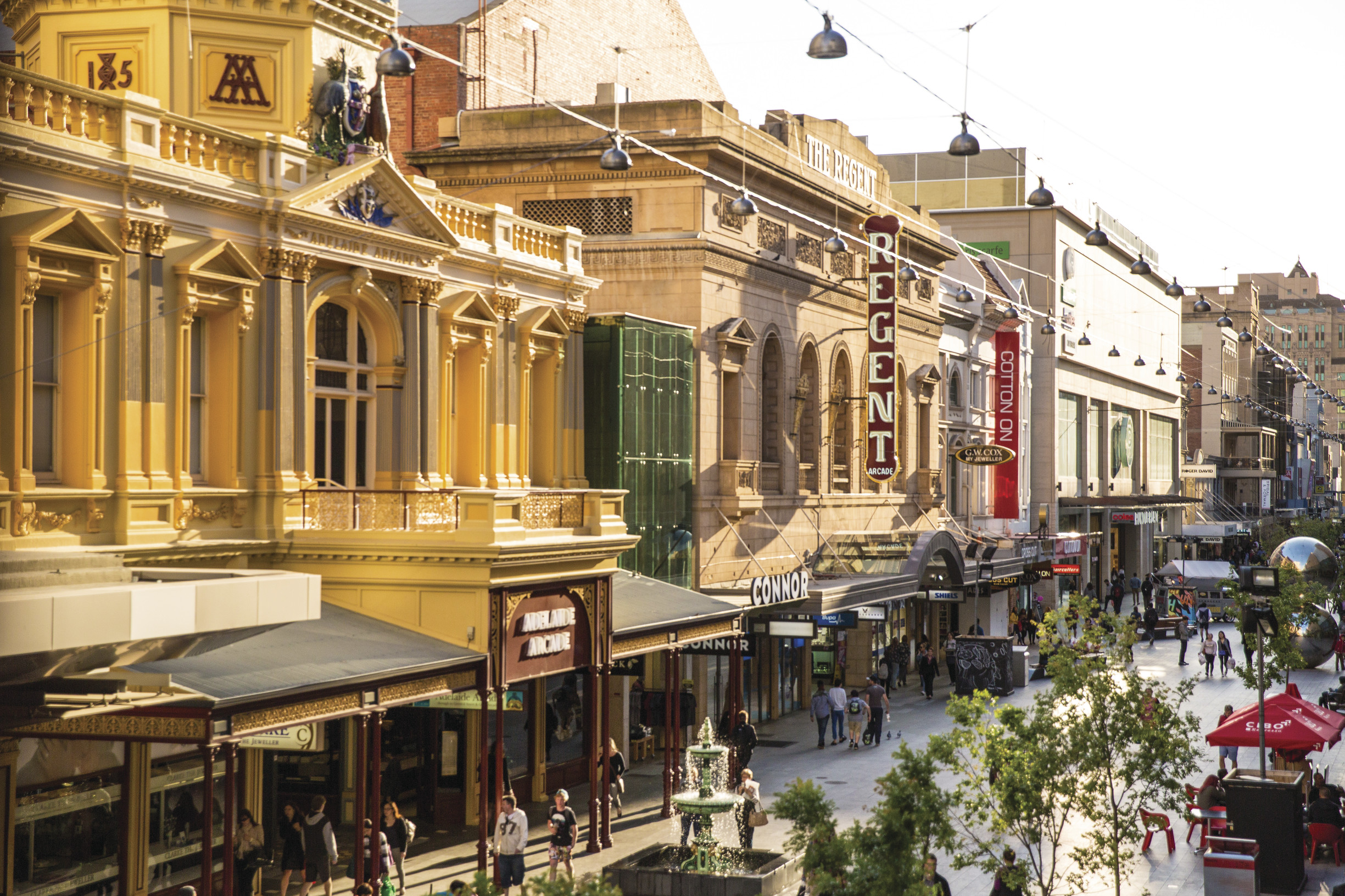 Meet, Greet and Adelaide City Sights