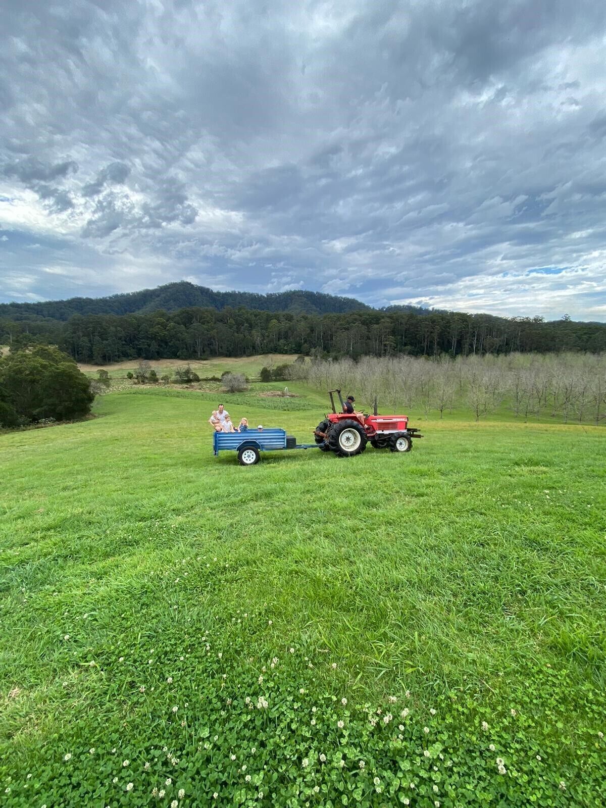 Bellbowra Farmstay - Pet Friendly - Nambucca Valley