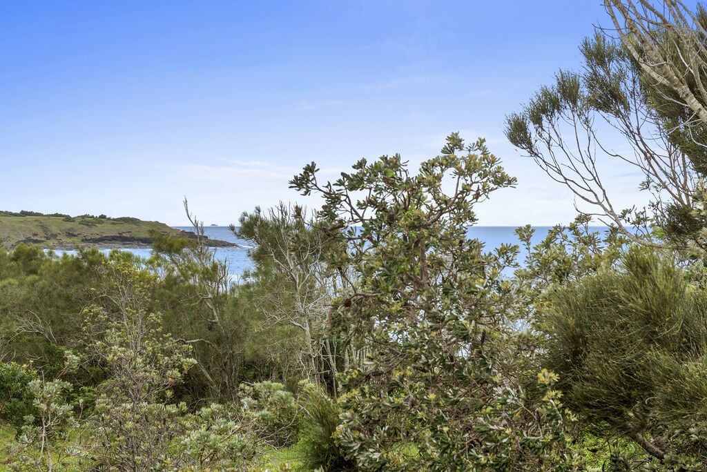 Oceanview Property Near Mullaway Beach