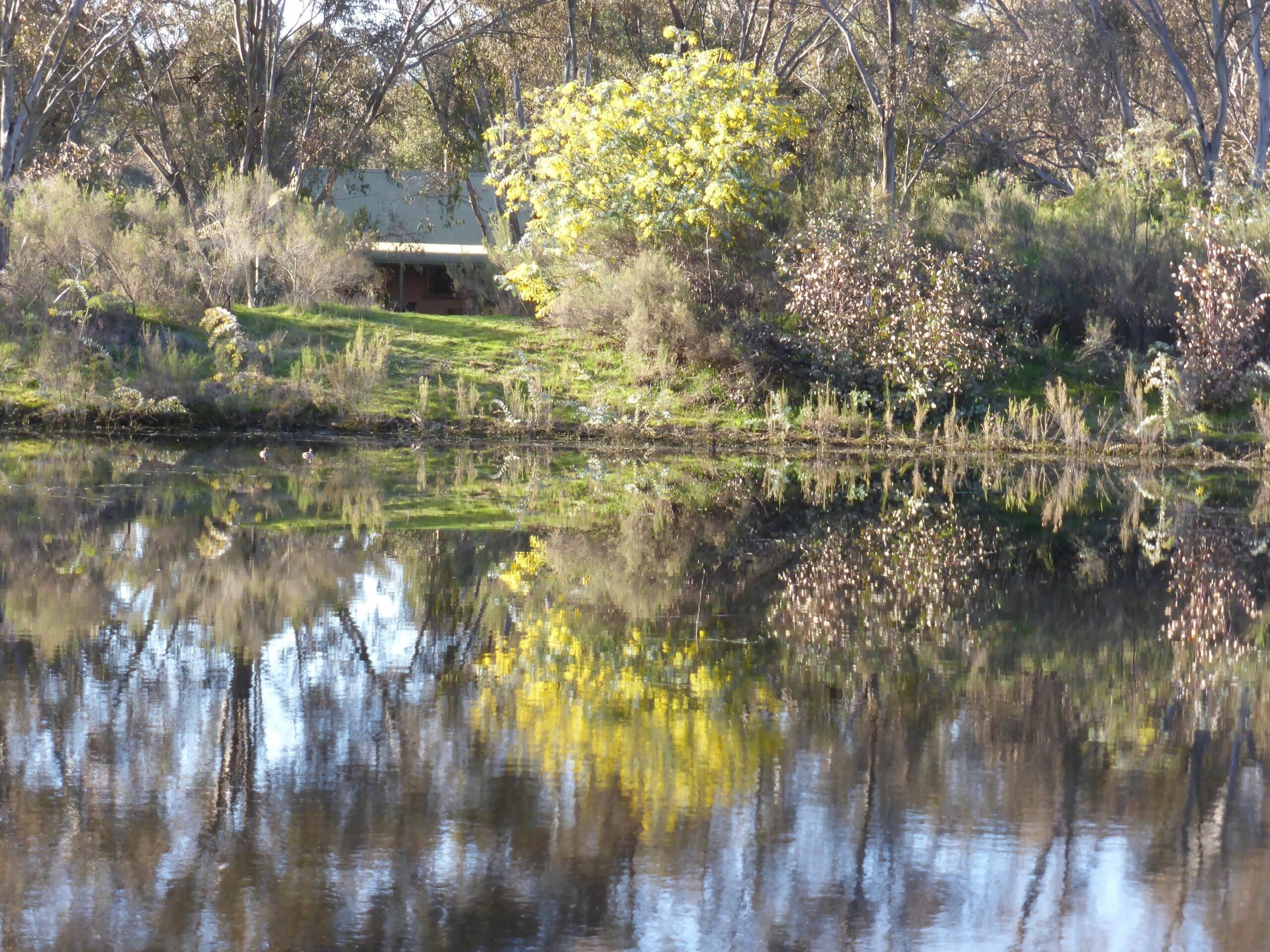 Wildwood Country Guesthouse