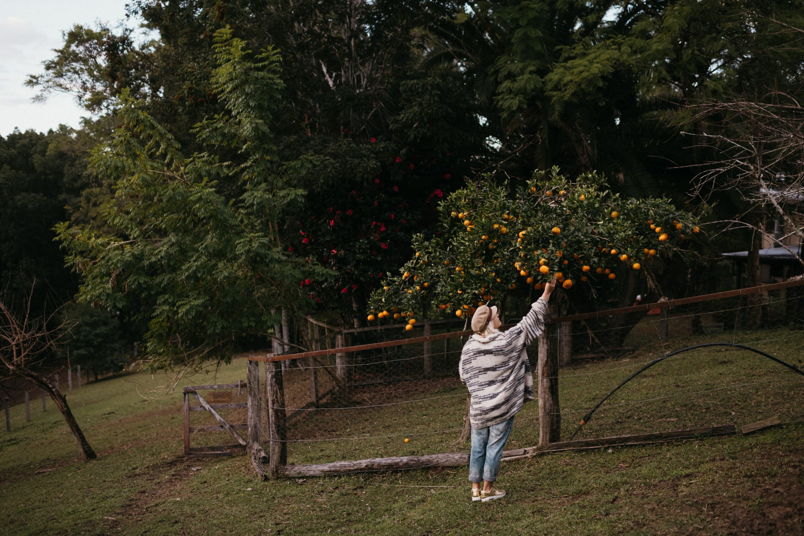 Bellingen Farm House: WeilHouse Living