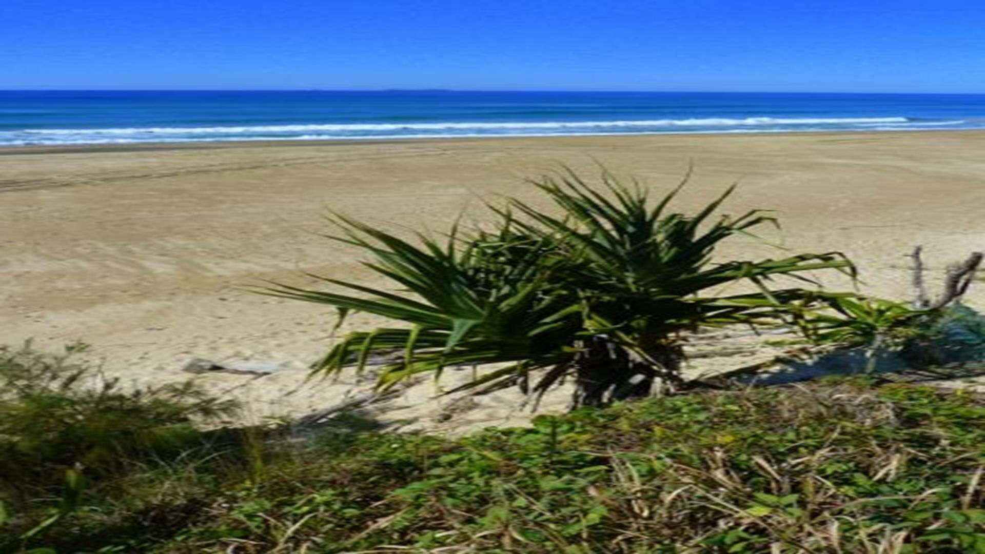 THE Pink Place - Wooli, NSW