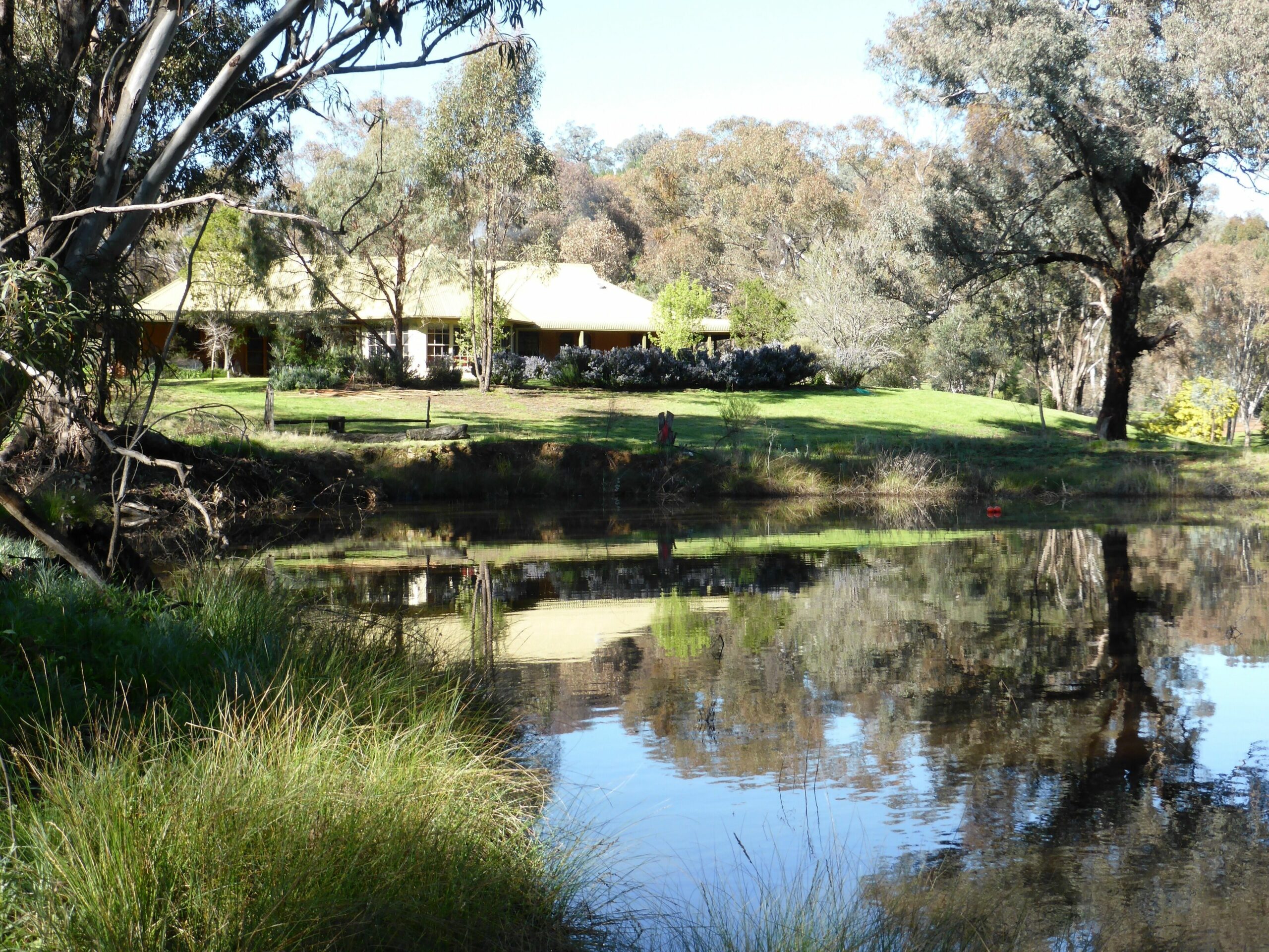 Wildwood Country Guesthouse