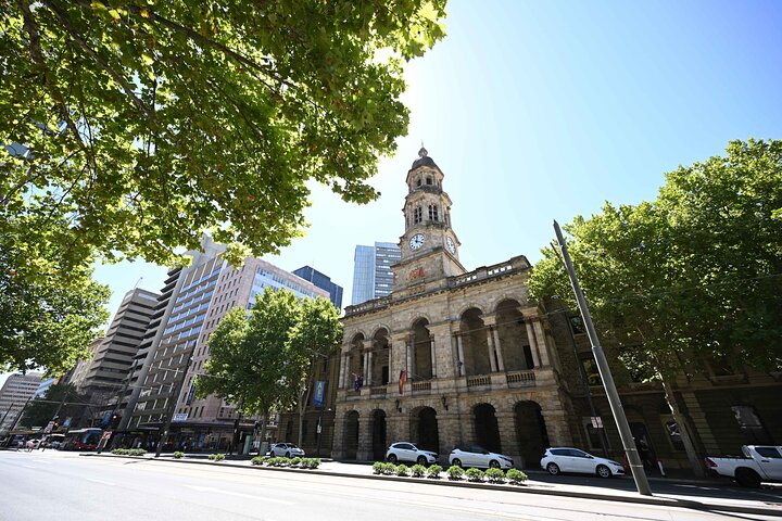 Guided Walking Tour in Adelaide