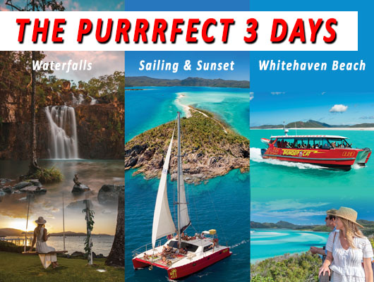 The Purrrfect 3 Days – All Inclusive Day Tours