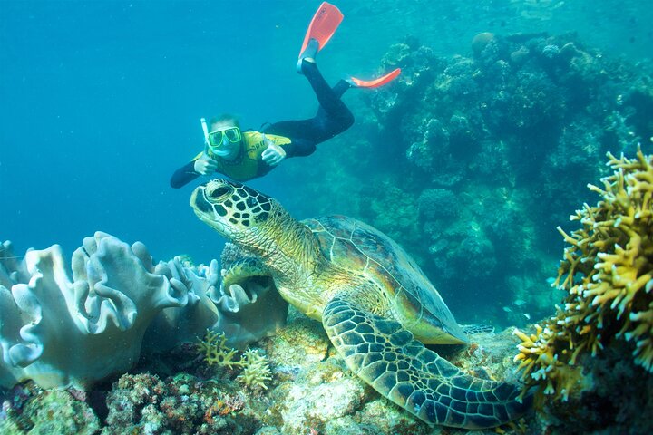 Great Ocean Road Small Group Tour