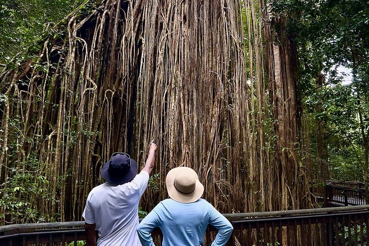 Cairns Full-Day Tour with ATV Ride and Afternoon Reef