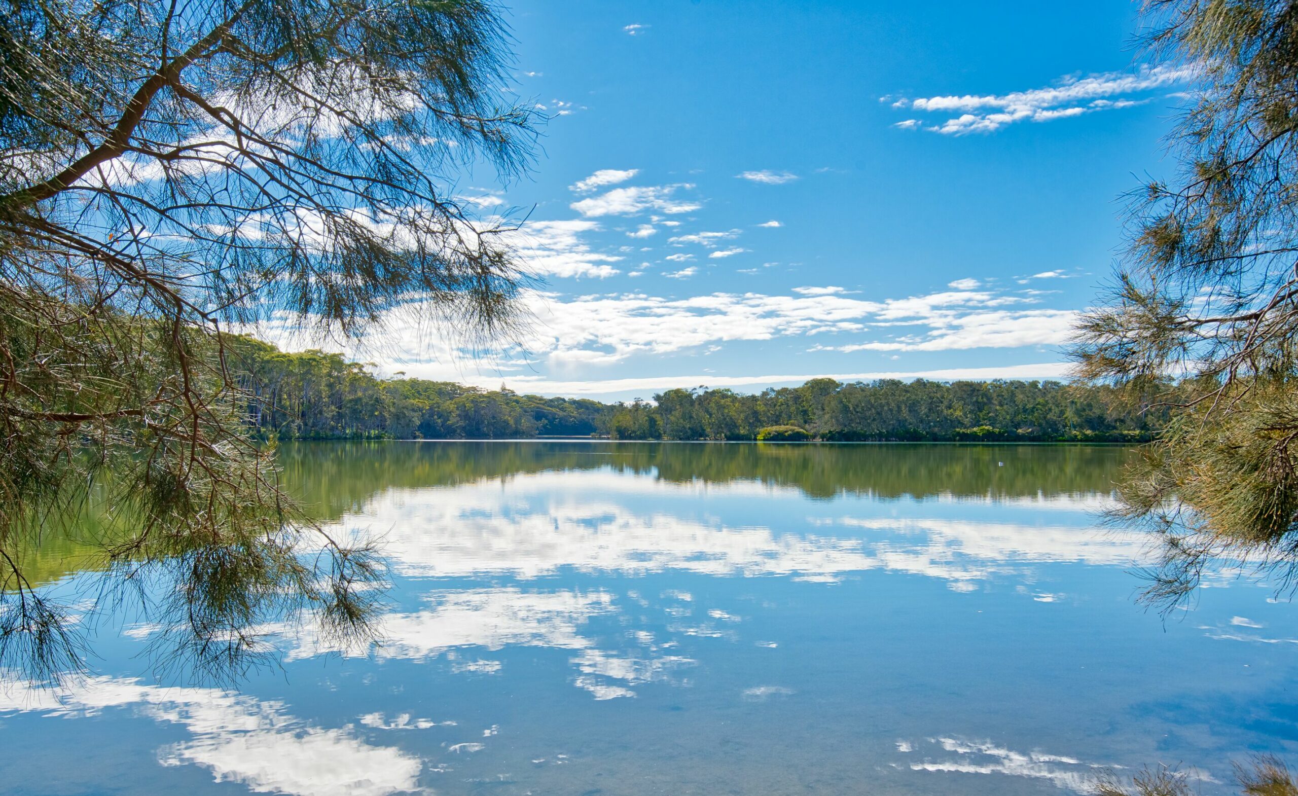 Melaleuca Lakeside by the beach at Woolgoolga - Paradise summer and winter