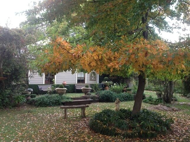 The Old Manse Bed and Breakfast