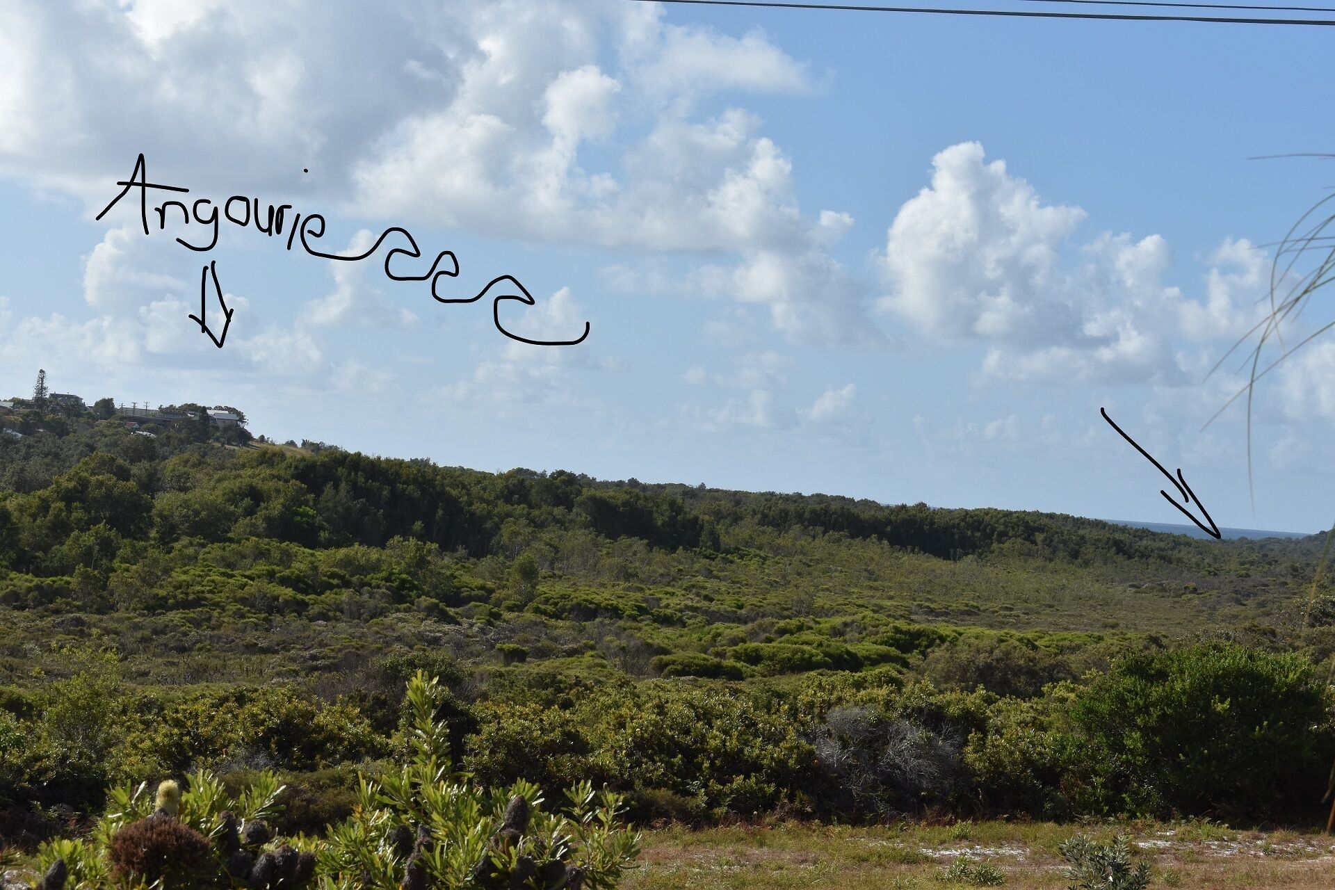 Nestled between Yuraygir National Park, lake & sea