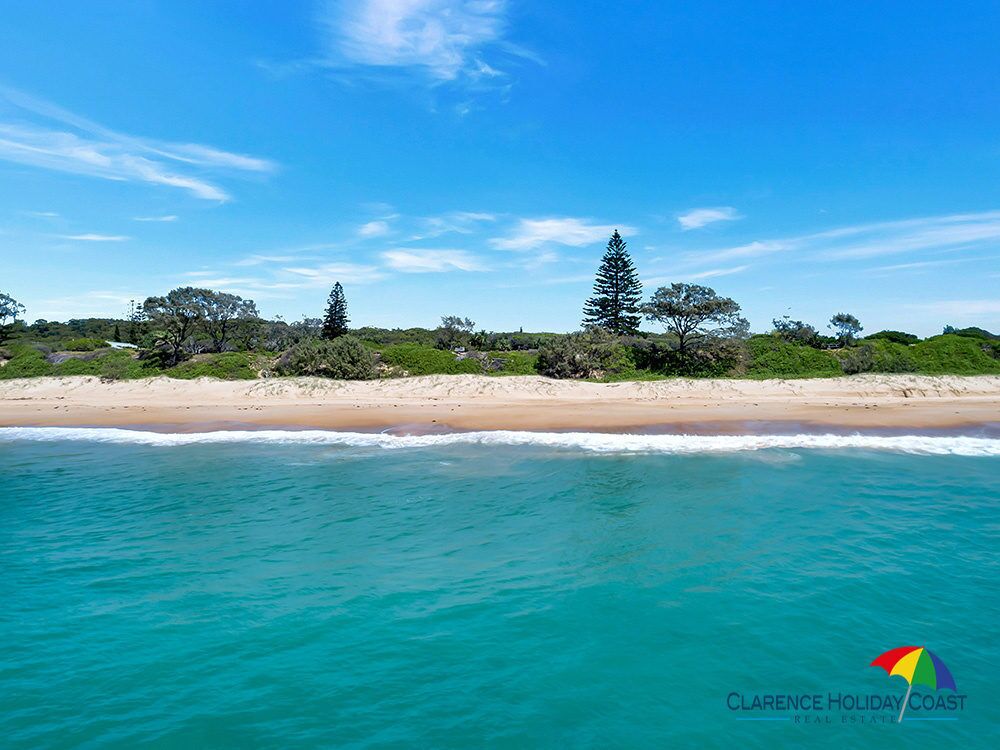 Pandanus - Wooli, NSW