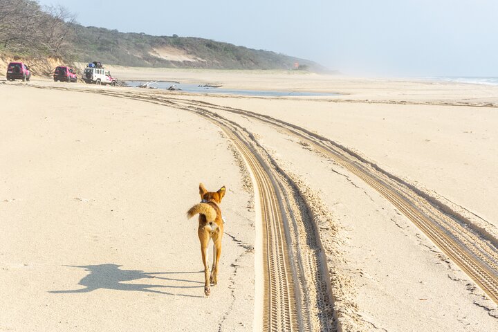 3 Day PINK4WD Tagalong Tour - K'gari/Fraser Island