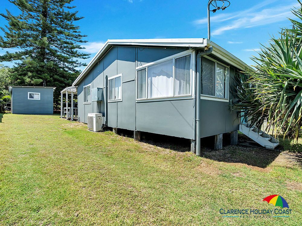 Pandanus - Wooli, NSW