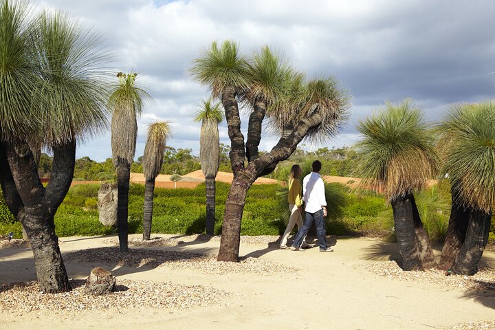 Alice Springs Walking Tours