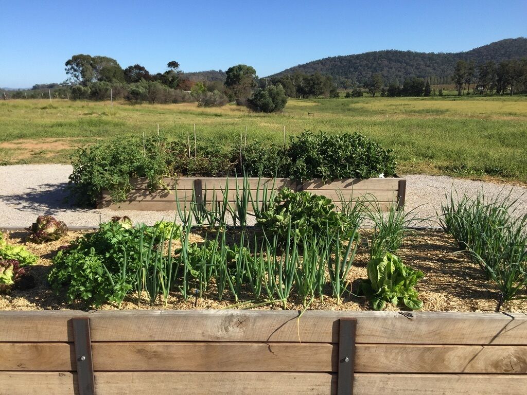 Abercorn - House and Farm Mudgee