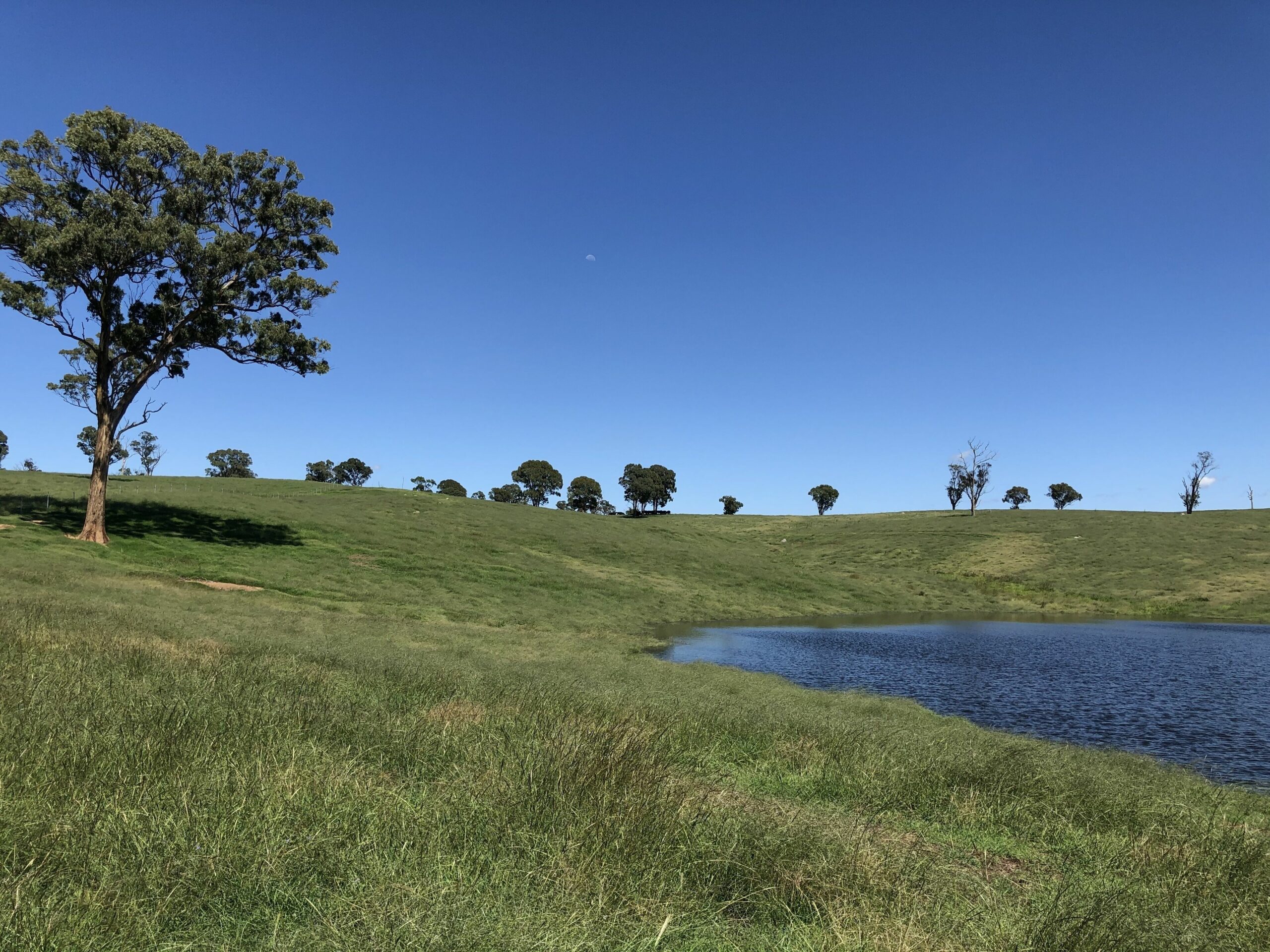 Relaxing Peaceful Well Equipped Farm Stay