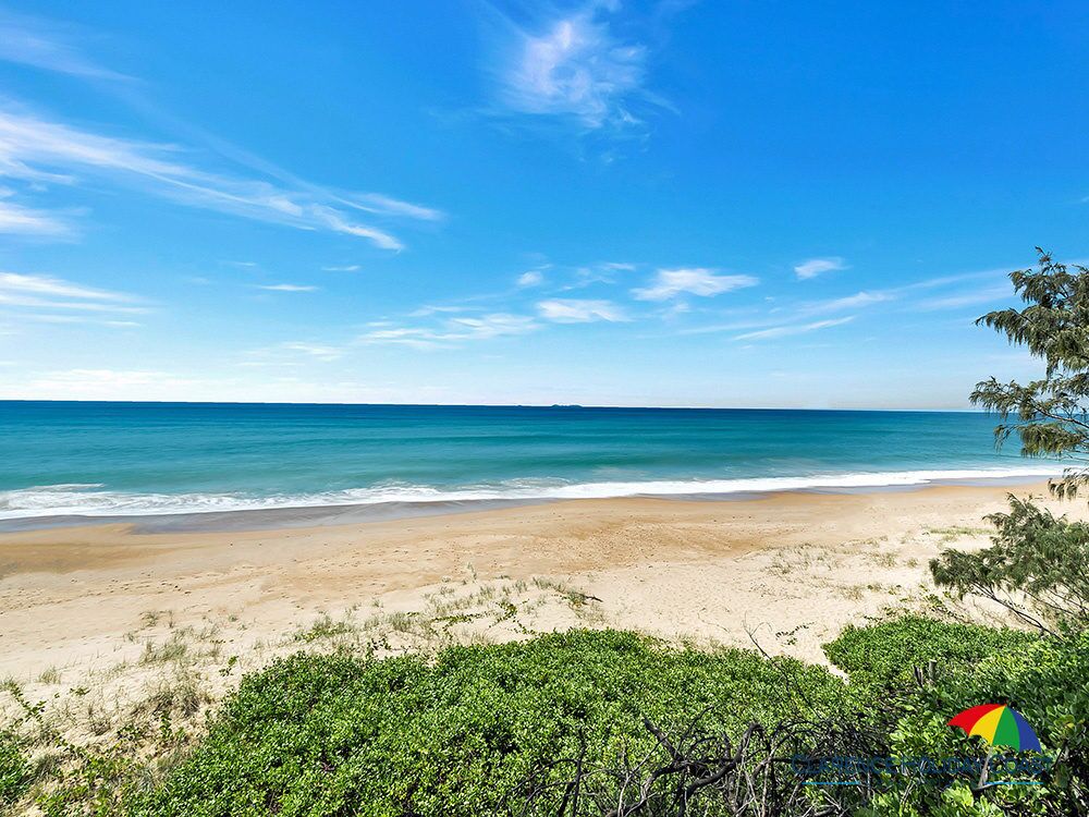 Pandanus - Wooli, NSW