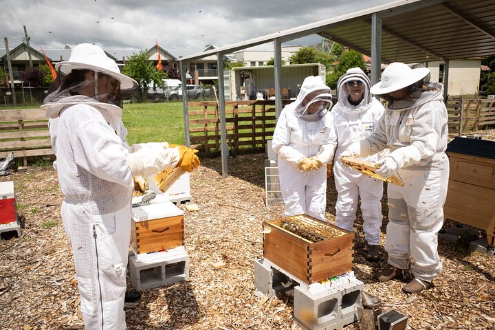 Beekeeping. Honey and Hive.