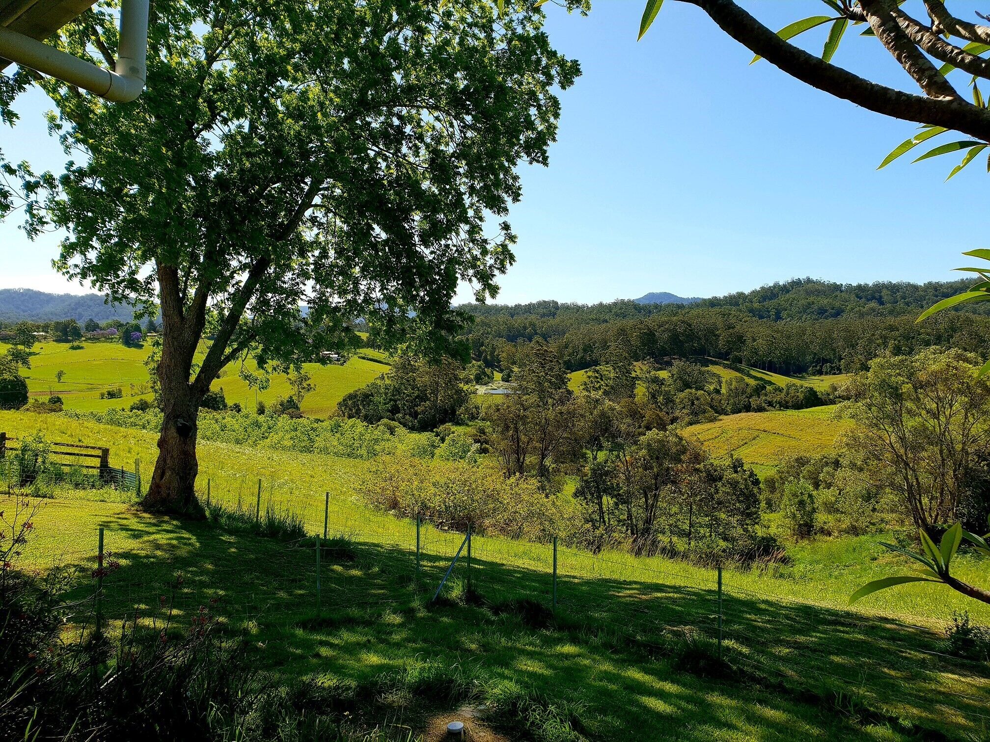 Bellbowra Farmstay - Pet Friendly - Nambucca Valley