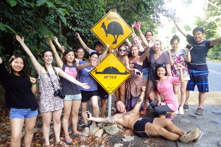 Cape Tribulation Day Tour from Cairns