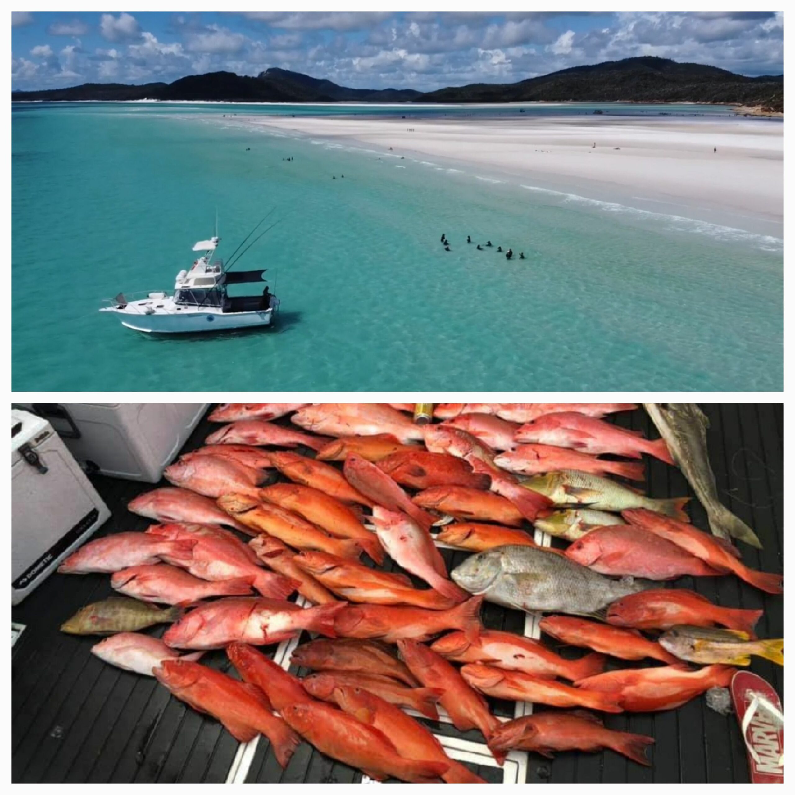 Fishing Combo Private Charter Airlie Beach Whitsundays Whitehaven Beach