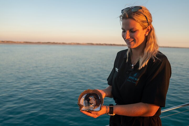 Half-Day Pearling and Sailing Adventure in Broome